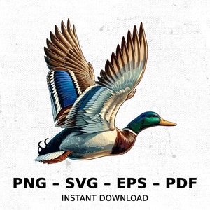 Bird Drake Mallard Duck Farm Flight Wildlife SVG PNG Clipart | Sublimation Transparent Watercolor Cartoon Instant Download Elk River Prints