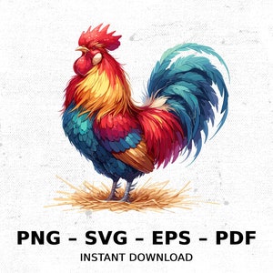 Bird Chicken Rooster Farm Colorful SVG PNG Clipart | Sublimation Transparent Watercolor Cartoon Instant Download Elk River Prints Custom