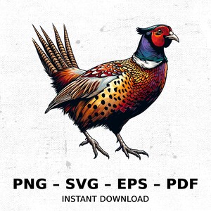 鳥 キジ 野生動物 狩猟 SVG PNG クリップアート | 昇華透明水彩漫画 即時ダウンロード エルク川プリント カスタム