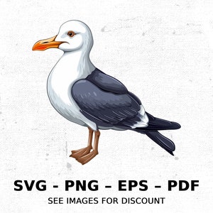 Bird Seagull Ocean Wildlife SVG PNG Clipart | Sublimation Transparent Watercolor Cartoon Instant Download Elk River Prints Custom