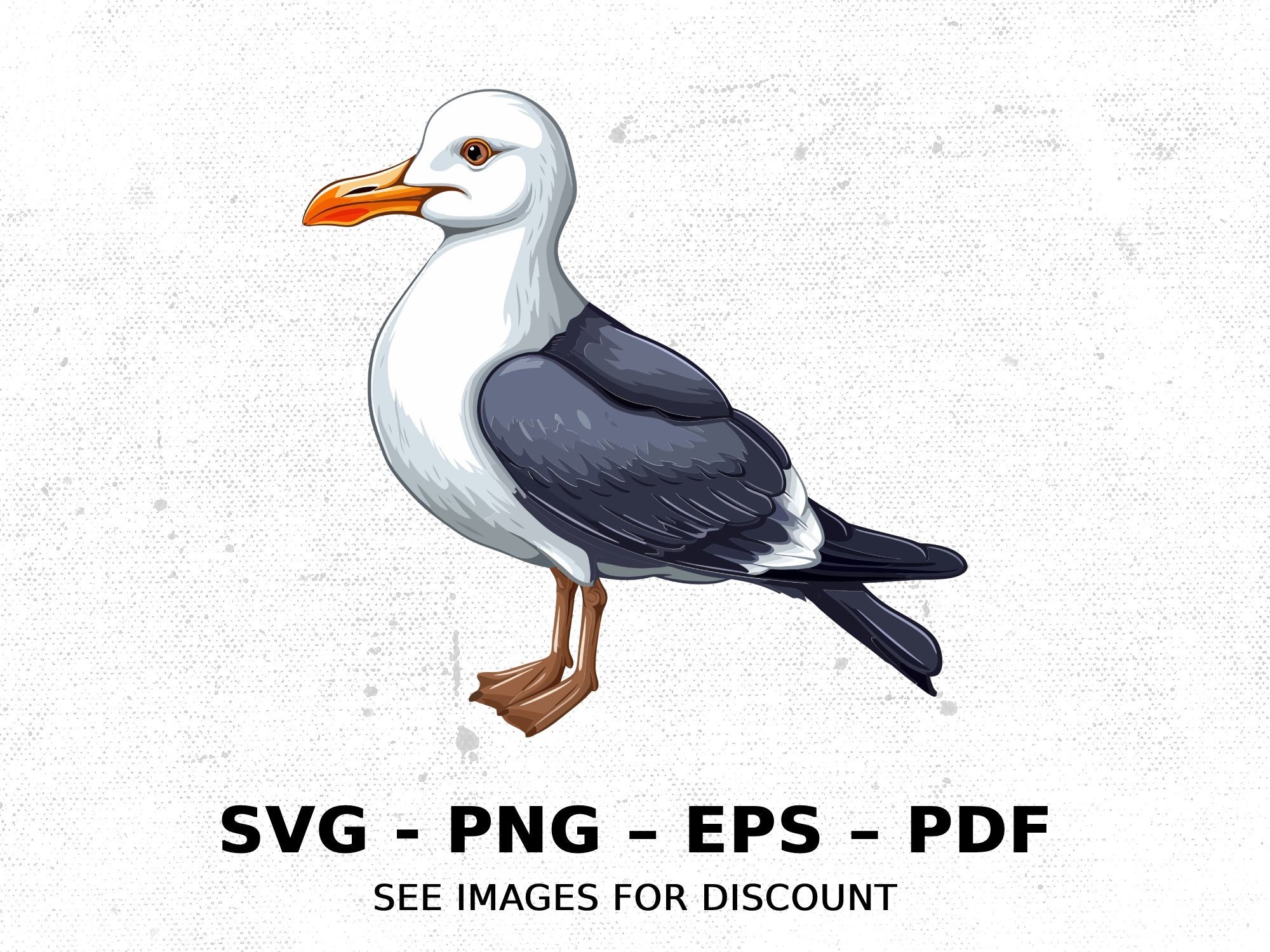 Oiseau, mouette, océan, faune, SVG, PNG Clipart | Dessin animé aquarelle transparent sublimation téléchargement immédiat impressions Elk River personnalisées