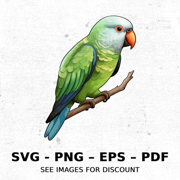 Bird Quaker Parrot Monk Parakeet SVG PNG Clipart | Sublimation Transparent Watercolor Cartoon Instant Download Elk River Prints Custom