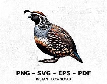Bird Quail Gambels Wildlife Hunting SVG PNG Clipart | Sublimation Transparent Watercolor Cartoon Instant Download Elk River Prints Custom