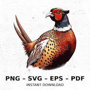 鳥 キジ 野生動物 狩猟 SVG PNG クリップアート | 昇華透明水彩漫画 即時ダウンロード エルク川プリント カスタム