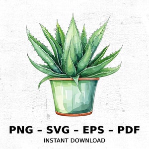多肉植物アロエベラハウスポットSVG PNGクリップアート | 昇華透明水彩漫画インスタントダウンロードエルク川プリントカスタム