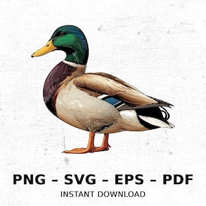Bird Drake Mallard Duck Farm Wildlife SVG PNG Clipart | Sublimation Transparent Watercolor Cartoon Instant Download Elk River Prints Custom