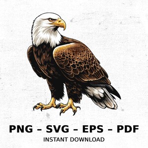 鳥 アメリカ ハクトウワシ 野生動物 USA SVG PNG クリップアート | 昇華透明水彩漫画 即時ダウンロード エルク川プリント カスタム