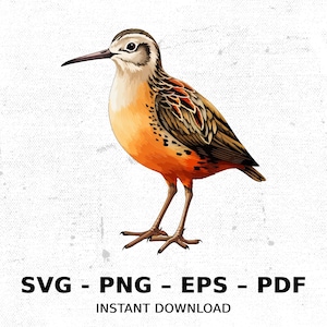 Bird American Woodcock Wildlife SVG PNG Clipart | Sublimation Transparent Watercolor Cartoon Instant Download Elk River Prints Custom