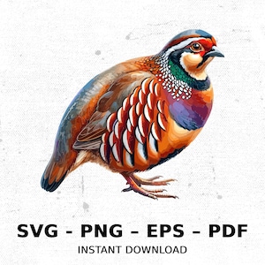 鳥 ヤマウズラ 野生動物 SVG PNG クリップアート | 昇華透明水彩漫画 即時ダウンロード エルク川プリント カスタム