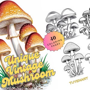 Unique Vintage Mushroom Coloring Book, Enchanting Mushroom Coloring Pages, Mushroom Designs Grayscale Coloring Sheets, Printable PDF File