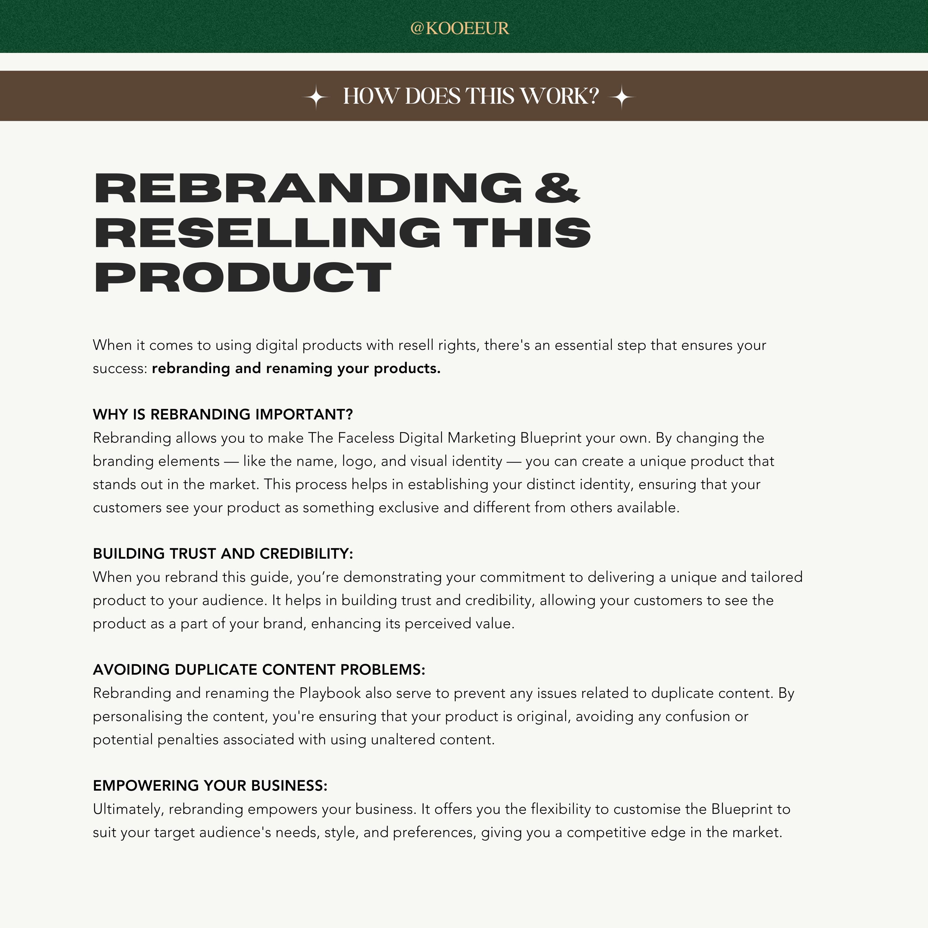 Faceless Digital Marketing Blueprint Products Bundle With MRR & PLR ...