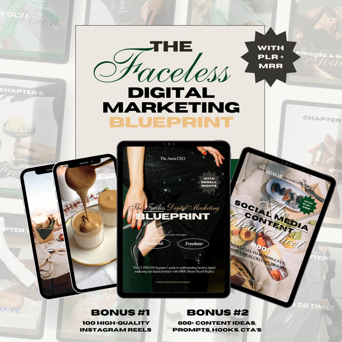 Faceless Digital Marketing Blueprint Products Bundle With MRR & PLR ...