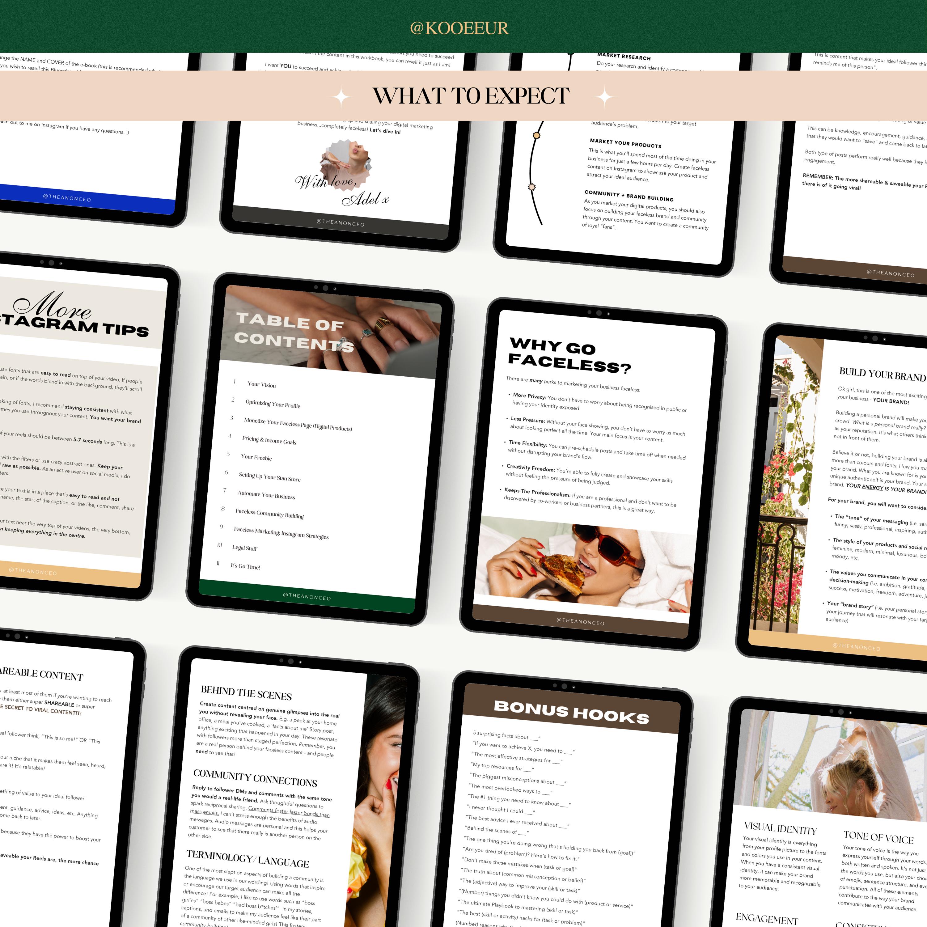Faceless Digital Marketing Blueprint Products Bundle With MRR & PLR ...