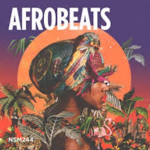 May include: A colourful digital illustration of a woman with a bird on her head, set against a vibrant orange and purple background. The image features tropical plants and a pink flamingo. The text "AFROBEATS" is displayed in large, bold letters at the top of the image. The text "NSM244" is displayed in the bottom left corner of the image.