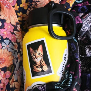 Custom Pet Sticker, custom Dog Stickers, custom Cat Stickers, Pet laptop Stickers, pet photo stickers, water bottle stickers, decal, tumbler image 4