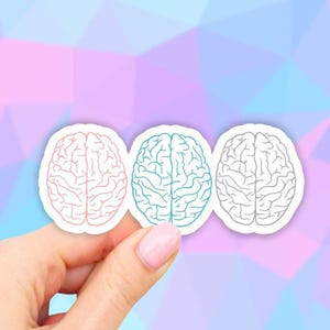 May include: Three brain-shaped stickers with outlines of the brain. The stickers are pink, blue, and gray.