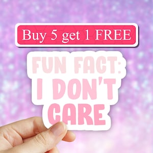 Fun fact i dont care funny sarcastic sticker, sarcasm stickers, laptop decal, tumbler stickers, water bottle decal, attitude rude sticker image 1