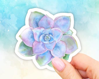 Succulent Stickers, plant life stickers, Crazy plant lady, plant mom laptop stickers, plant tumbler stickers, plant water bottle sticker,