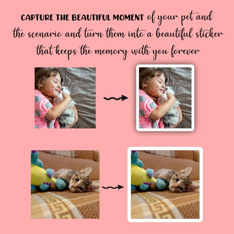 Custom Pet Sticker, custom Dog Stickers, custom Cat Stickers, Pet laptop Stickers, pet photo stickers, water bottle stickers, decal, tumbler image 2