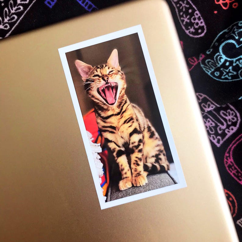 Custom Pet Sticker, custom Dog Stickers, custom Cat Stickers, Pet laptop Stickers, pet photo stickers, water bottle stickers, decal, tumbler image 5