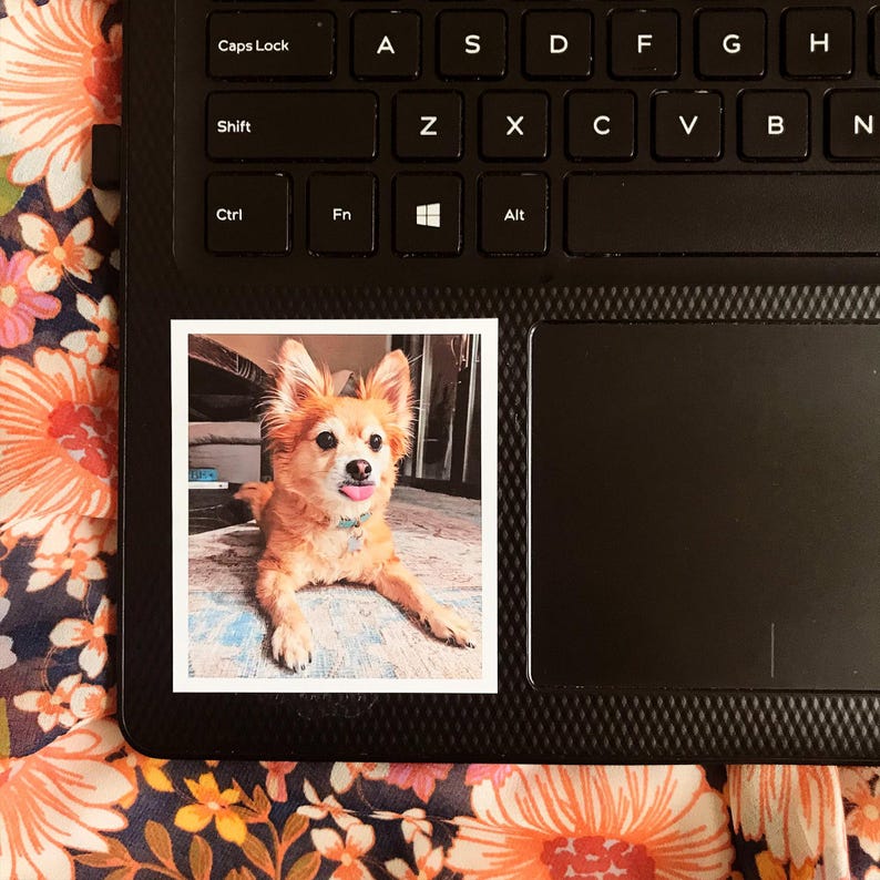 Custom Pet Sticker, custom Dog Stickers, custom Cat Stickers, Pet laptop Stickers, pet photo stickers, water bottle stickers, decal, tumbler image 3