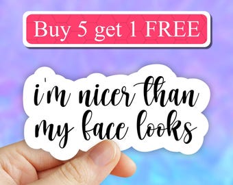 I'm nicer than my face looks sticker, sarcasm stickers, laptop stickers, water bottle decals, tumbler stickers, sassy stickers, computer