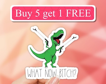 What Now Bitch Funny T rex Dinosaur Sticker, Sarcastic Sticker, sarcasm, quirky Snarky Vinyl Decal for Water Bottles, Laptop Tumbler Sticker