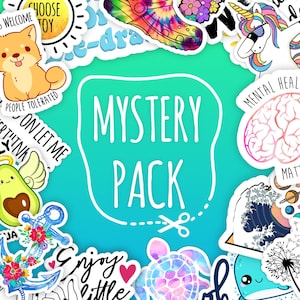 Random 10 stickers pack, Vinyl laptop stickers, water bottle Stickers, tumbler stickers, sticker bundle, water proof stickers, car decals
