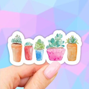 May include: A sticker featuring five watercolor succulent plants in colorful pots. The pots are orange, red, blue, pink, and orange. The sticker is perfect for adding a touch of greenery to any surface.