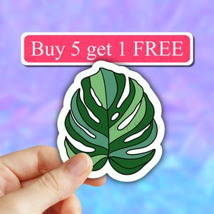 Monstera leaf vinyl Sticker, monstera plant sticker, plant mom sticker, succulent stickers, succ it sticker, plant lady stickers, planters