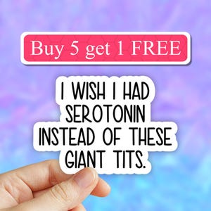 I wish I had serotonin instead of these giant tits sticker, Anxiety stickers, funny laptop sticker, waterproof vinyl sticker, mental health