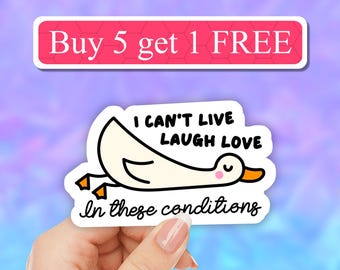 I can't live laugh love in these conditions, funny silly goose sticker, Funny meme decal, saying laptop, water bottle, tumbler, computer