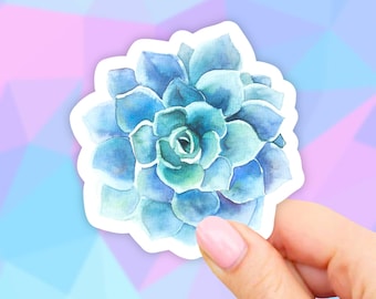 Blue Water Succulent Sticker, Waterbottle Stickers, Cactus Stickers, Plant Mom, Laptop Stickers, Aesthetic Stickers, Vinyl Stickers