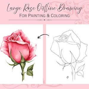 May include: A watercolor illustration of a pink rose next to a black and white outline drawing of the same rose. The text "Large Rose Outline Drawing For Painting & Coloring" is at the top.