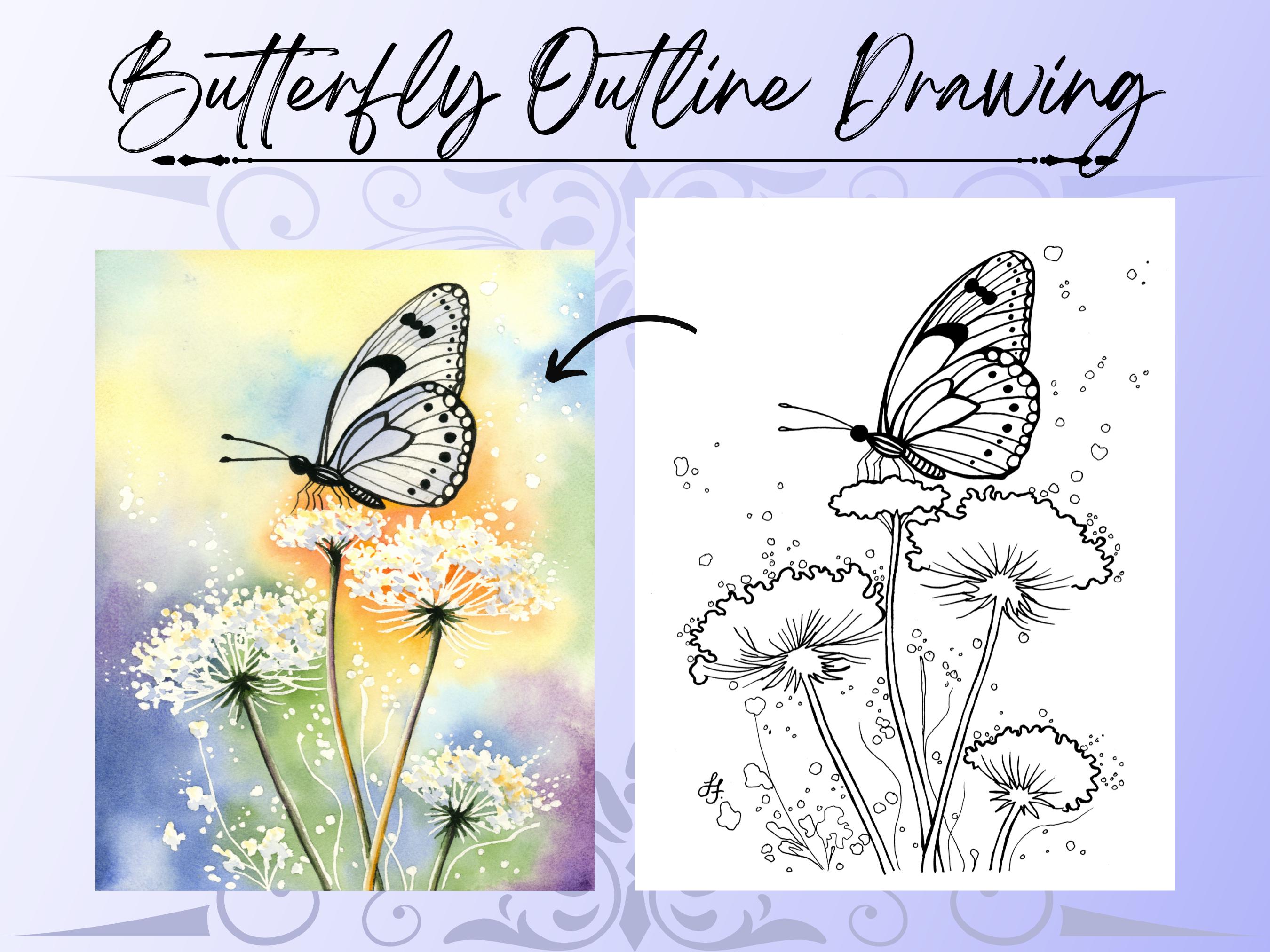 White Butterfly and White Flowers Traceable Template Outline Drawing PDF Digital Download for Painting and Coloring
