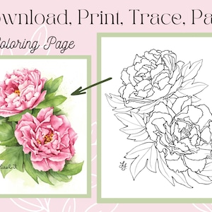 Peony Flower Outline Drawing Digital Printable Download Coloring Page