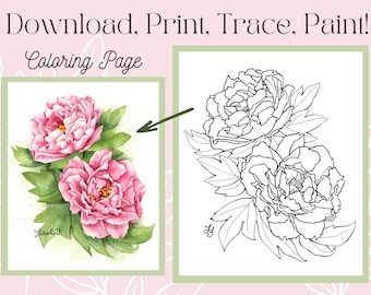 Peony Flower Outline Drawing Digital Printable Download Coloring Page