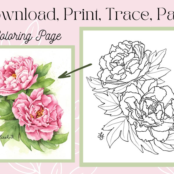 Peony Flower Outline Drawing Digital Printable Download Coloring Page