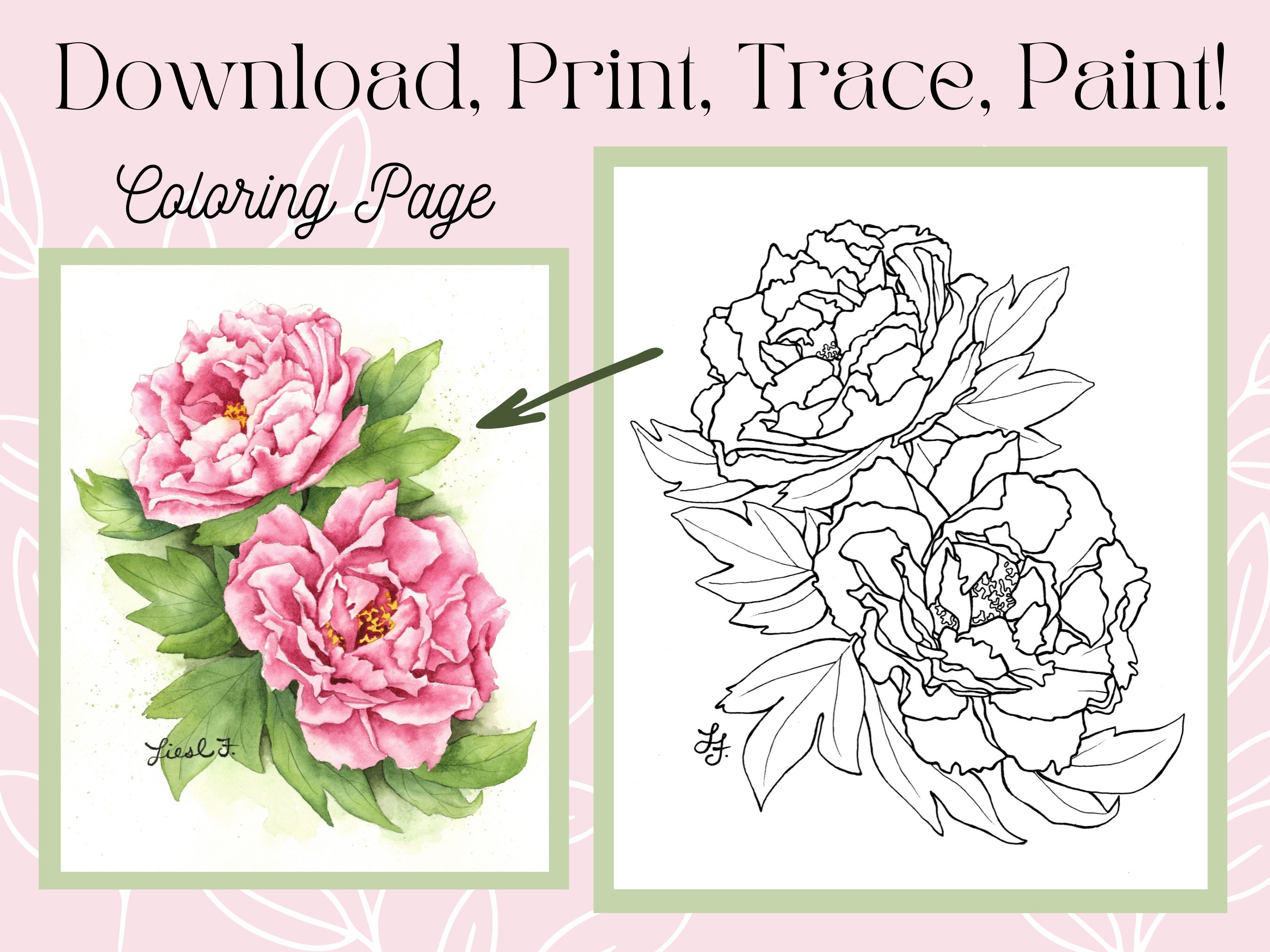 Quadri Moderni 2 Pezzi Con Peonie Fashion – Stampa Su Tela, Pronti Da Appendere, Made In Germany