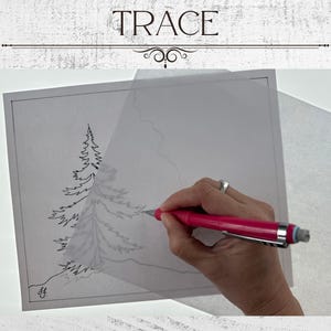 May include: Image shows the word "TRACE" above a drawing of a pine tree being traced with a pink pen. The drawing is on a sheet of tracing paper. The image is on a white background.