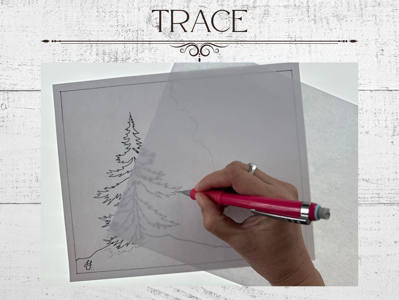 May include: Image shows the word "TRACE" above a drawing of a pine tree being traced with a pink pen. The drawing is on a sheet of tracing paper. The image is on a white background.