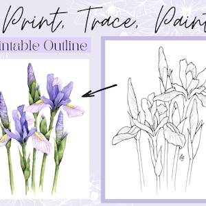 Digitale omtrektekening wilde irisbloem download afdrukbare traceerbare kleurplaat