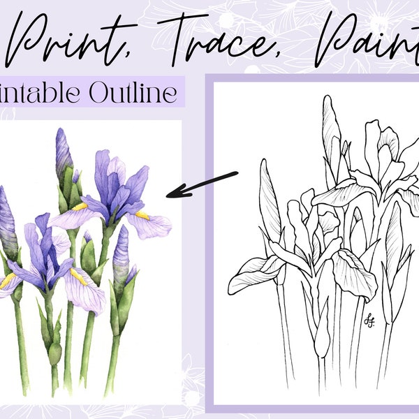 Wild Iris Flower Digital Outline Drawing Download Printable Traceable Coloring Page