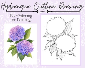 Hydrangea Flower Outline Drawing Page for Coloring or Painting