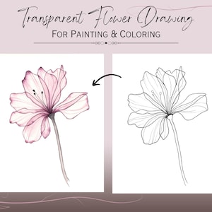 May include: The image shows a transparent flower drawing for painting and coloring. The left side features a watercolor rendering of a pink flower. The right side shows a line drawing of the same flower. The text reads "Transparent Flower Drawing FOR PAINTING & COLORING."