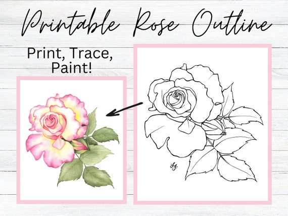 111,400+ Rose Flower Drawing Stock Photos, Pictures & Royalty-Free Images -  iStock