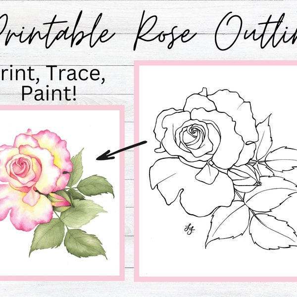 Rose Flower Drawing Outline/Template Printable Traceable PDF Coloring Page