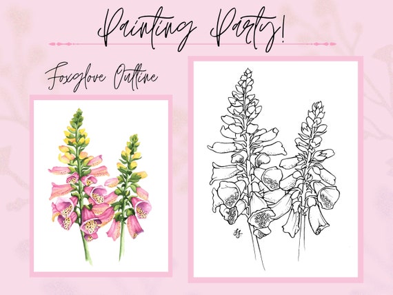 Foxglove Flower Drawing Outline Coloring/Painting PDF Printable Traceable Digital Outline