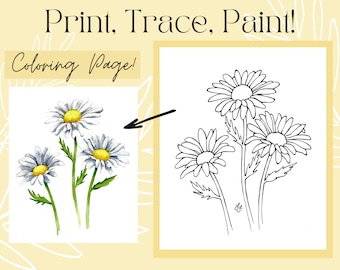 Daisy Flower Drawing Outline Digital Download Printable Traceable Coloring Page