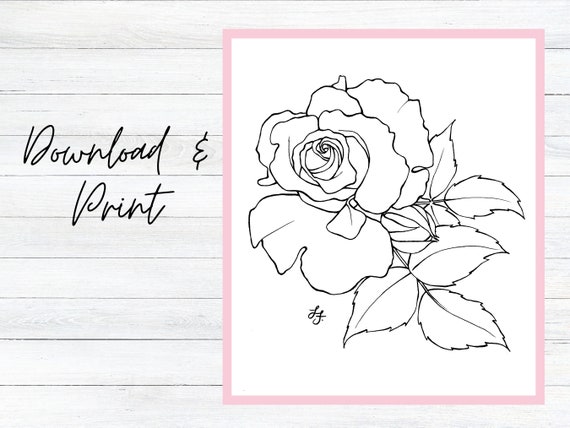 How to Draw a Rose, a Simple Step-by-Step Guide – GVAAT'S WORKSHOP